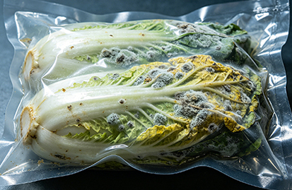 Why Cheap Vacuum Packing Machine Selection Fails